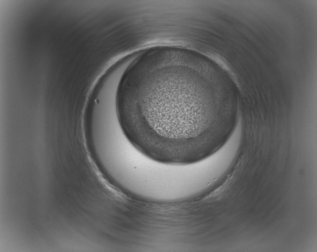 X0000071341030200606261310