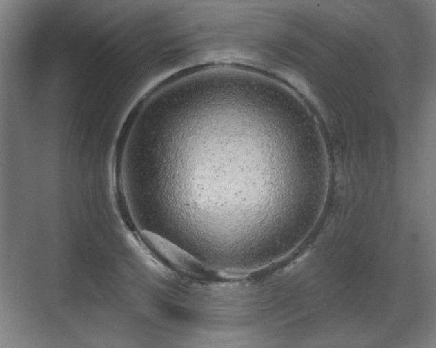 X0000071341032200606261310