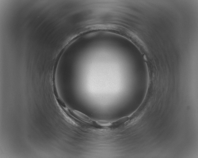 X0000071341033200606261310