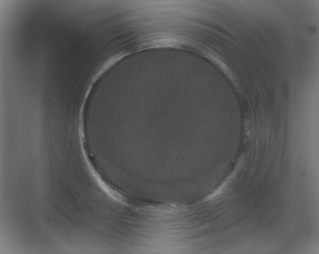 X0000071341034200606261310