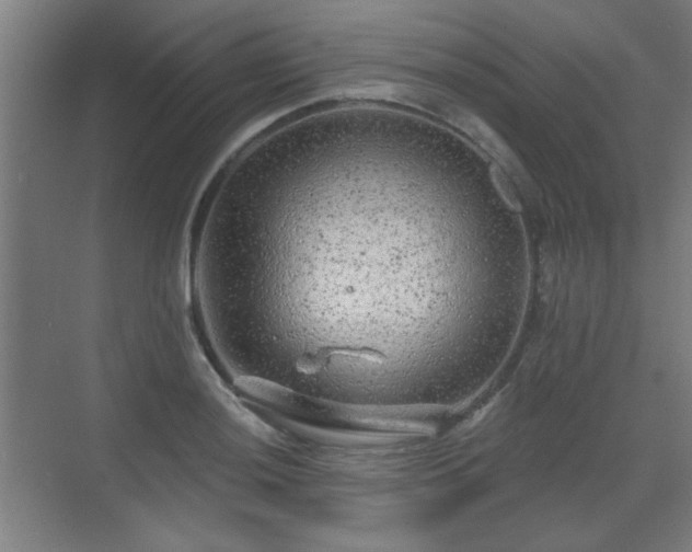 X0000071341036200606261310