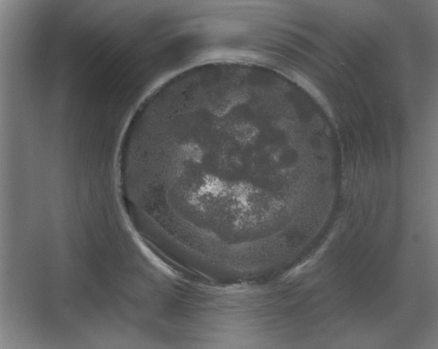 X0000071341037200606261310