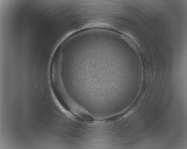 X0000071341038200606261310