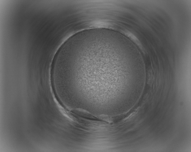 X0000071341039200606261310