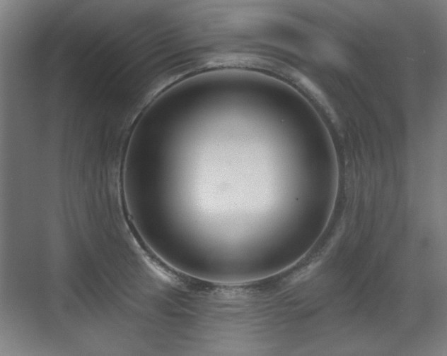 X0000071341041200606261310