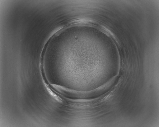 X0000071341042200606261310