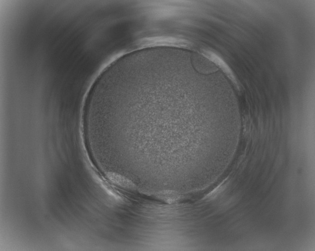 X0000071341043200606261310