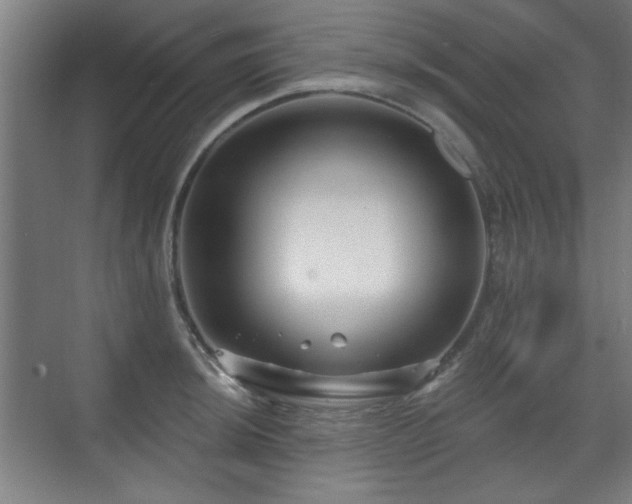 X0000071341044200606261310