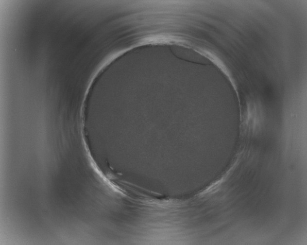 X0000071341045200606261310