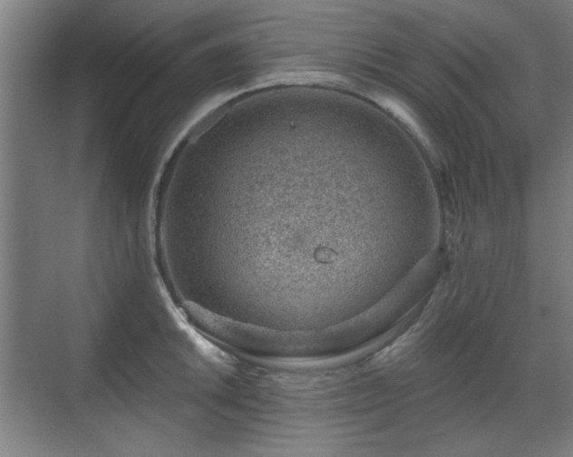 X0000071341046200606261310