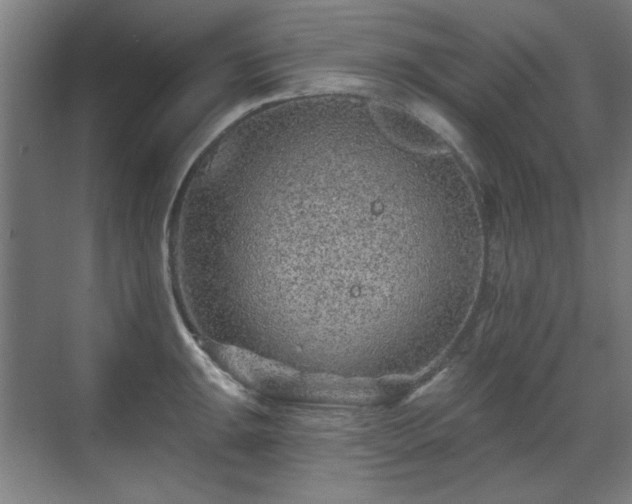 X0000071341047200606261310