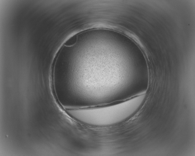 X0000071341048200606261310