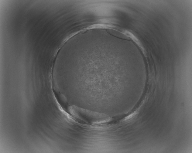 X0000071341049200606261310