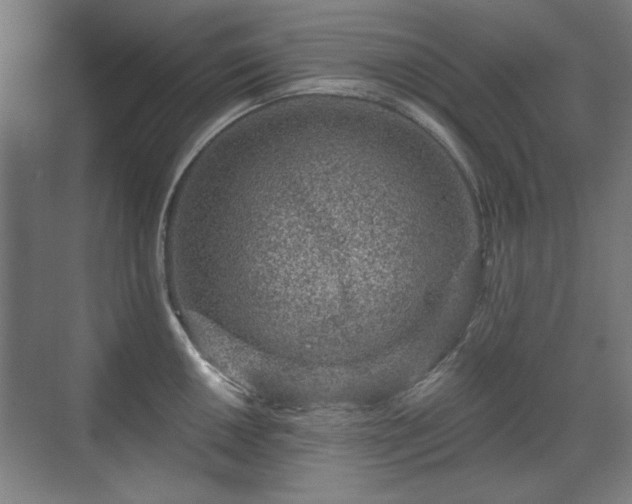 X0000071341050200606261310