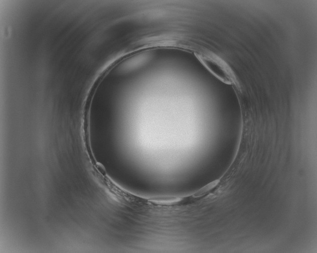 X0000071341051200606261310