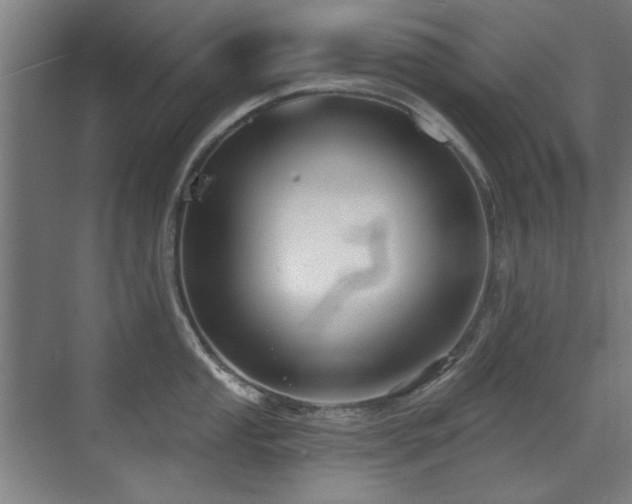 X0000071341053200606261310