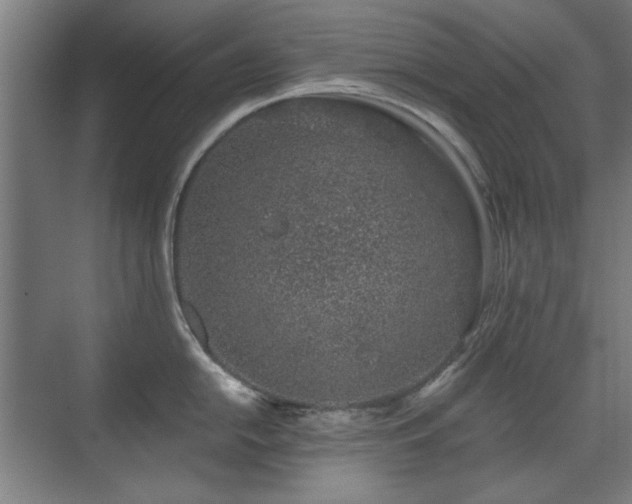 X0000071341054200606261310