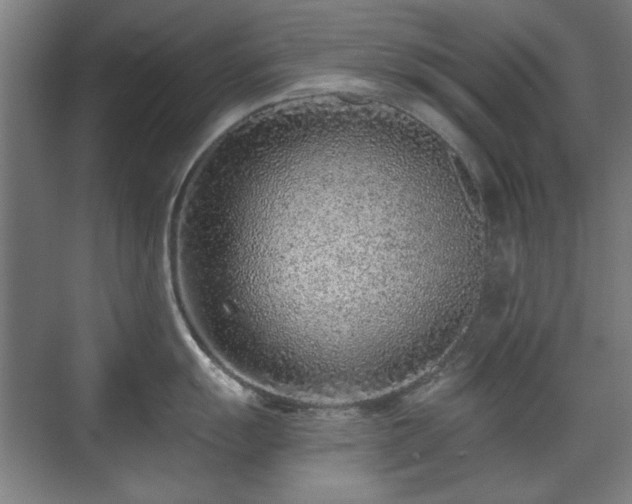 X0000071341055200606261311