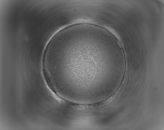 X0000071341056200606261311