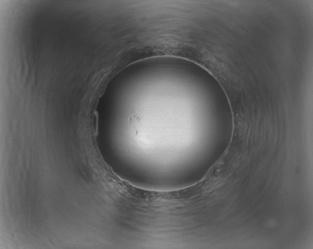 X0000071341057200606261310