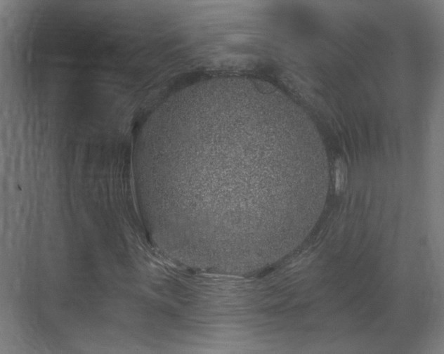 X0000071341059200606261310