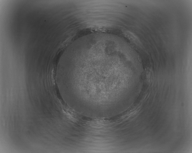 X0000071341060200606261310