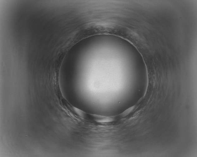 X0000071341061200606261310