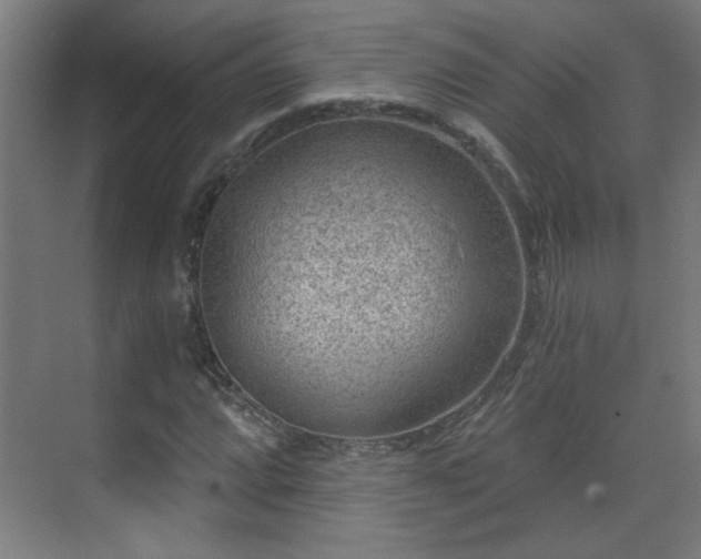 X0000071341064200606261310