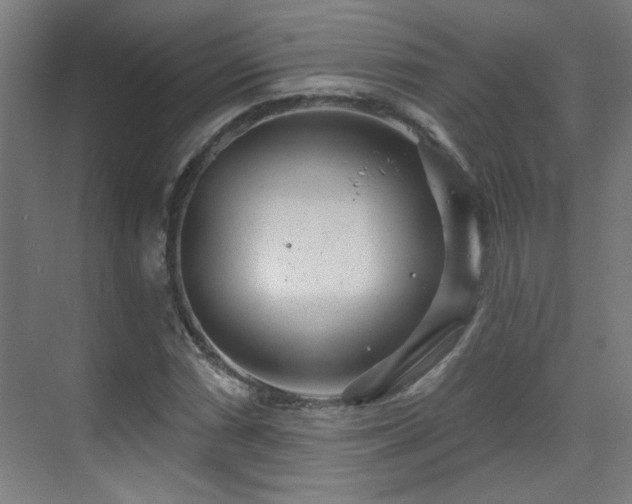 X0000071341066200606261310