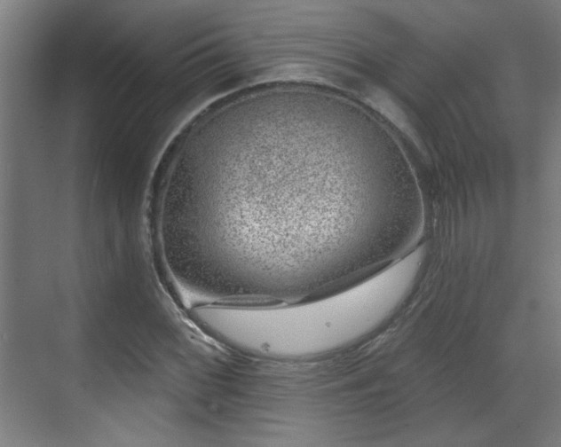 X0000071341068200606261310