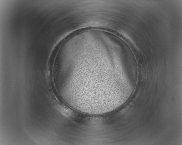 X0000071341070200606261309