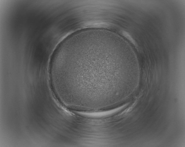 X0000071341071200606261309