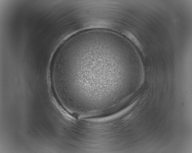 X0000071341072200606261309