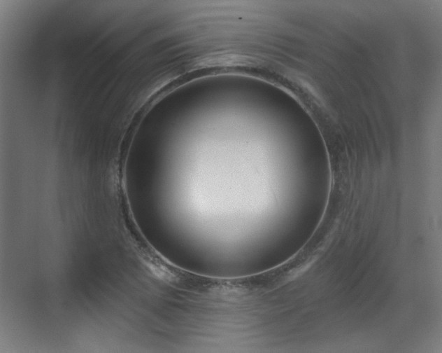 X0000071341073200606261309