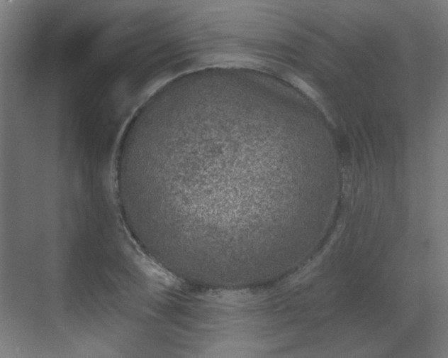 X0000071341074200606261309