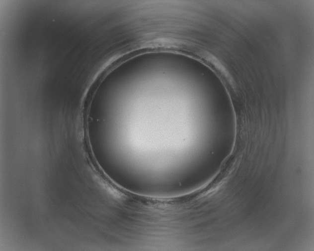 X0000071341075200606261309