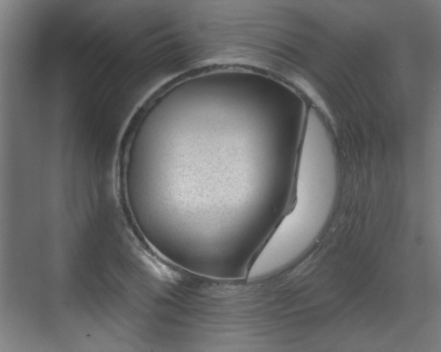 X0000071341076200606261309