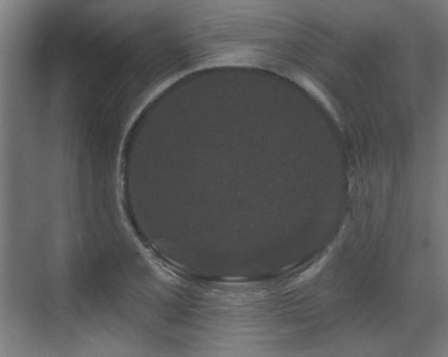 X0000071341077200606261309