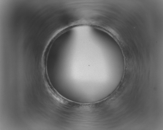 X0000071341078200606261309