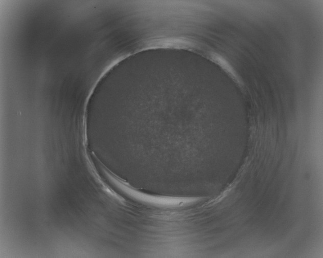 X0000071341079200606261309