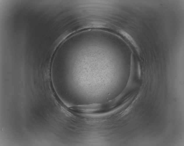 X0000071341081200606261309