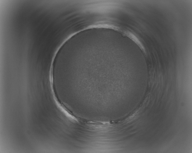 X0000071341084200606261309