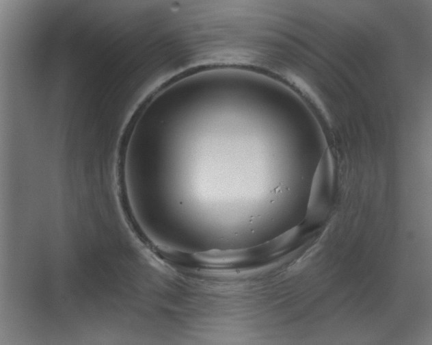 X0000071341085200606261309