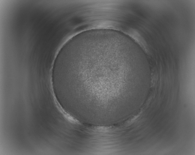 X0000071341086200606261309