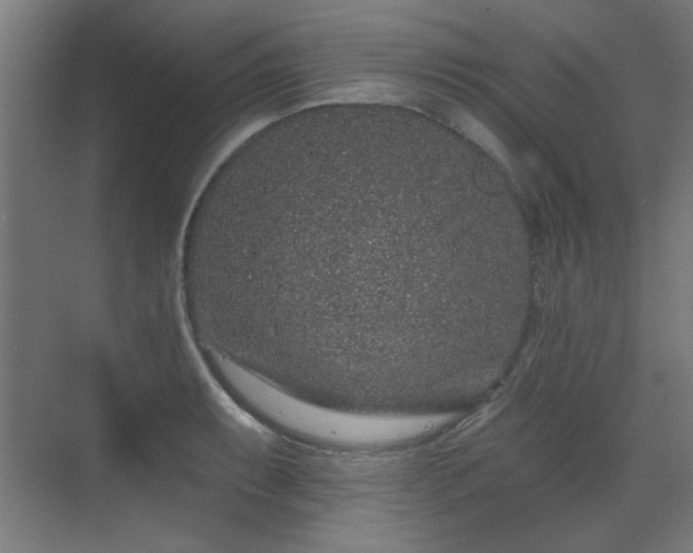 X0000071341087200606261309