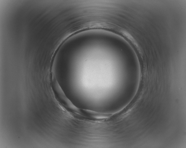 X0000071341089200606261309