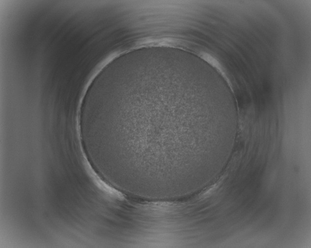 X0000071341090200606261309