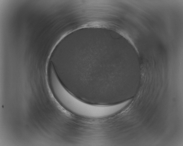 X0000071341091200606261309