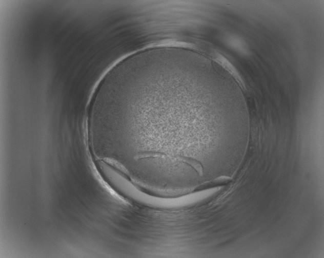 X0000071341092200606261309