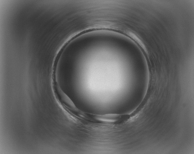 X0000071341093200606261309